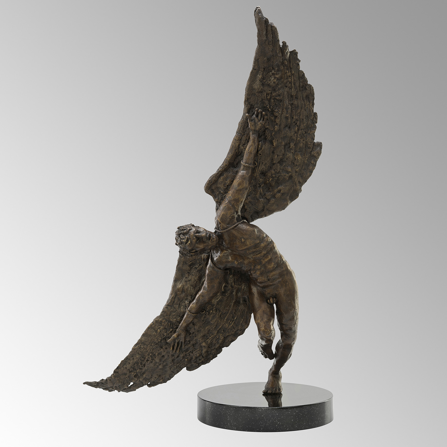 Icarus Ascending - Sparks Gallery